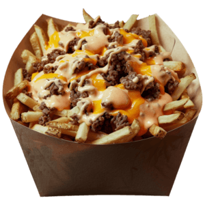 Bulgogi Fries