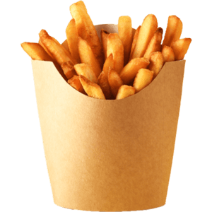 Regular Fries